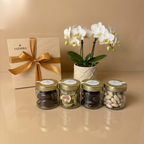 Golden Snack Collection - Figs & Dates