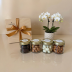 Golden Snack Collection - Salted Caramel & Chocolate Almonds